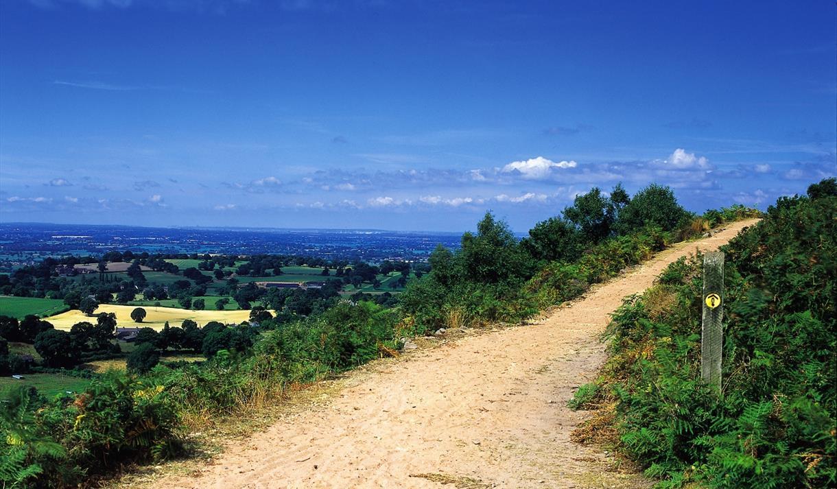 Along the Sandstone Trail.