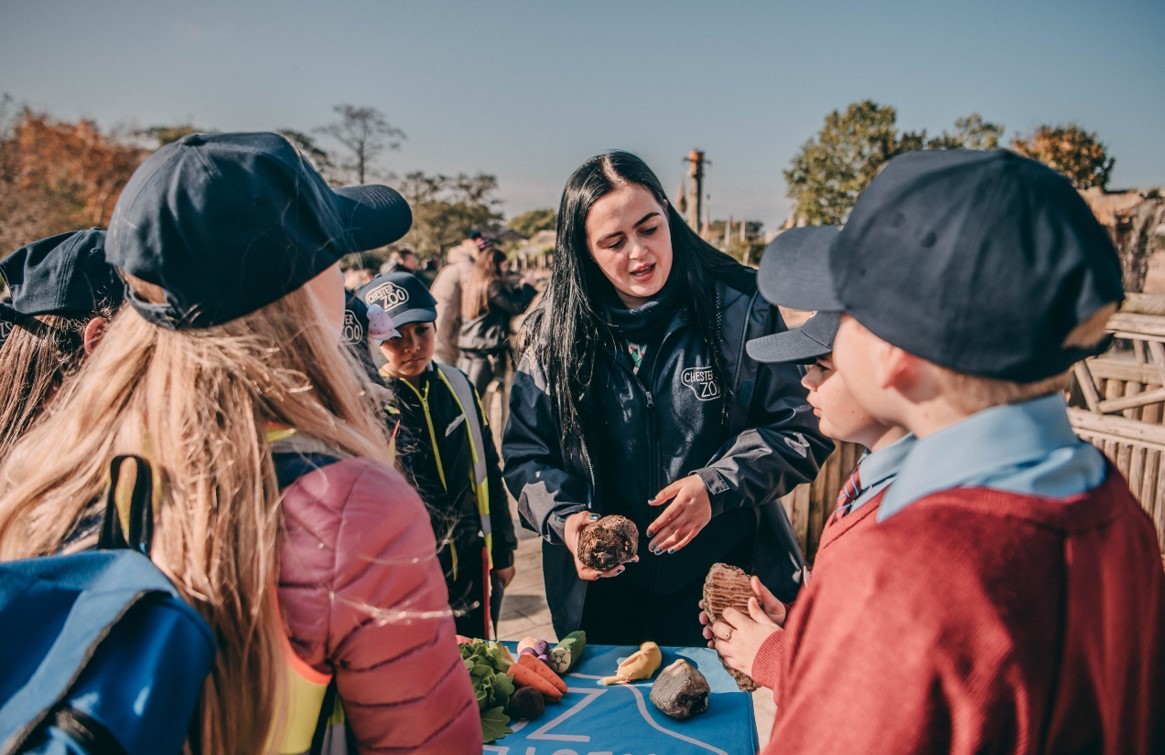 Chester Zoo will be hosting a free Wild Science trail this half term.