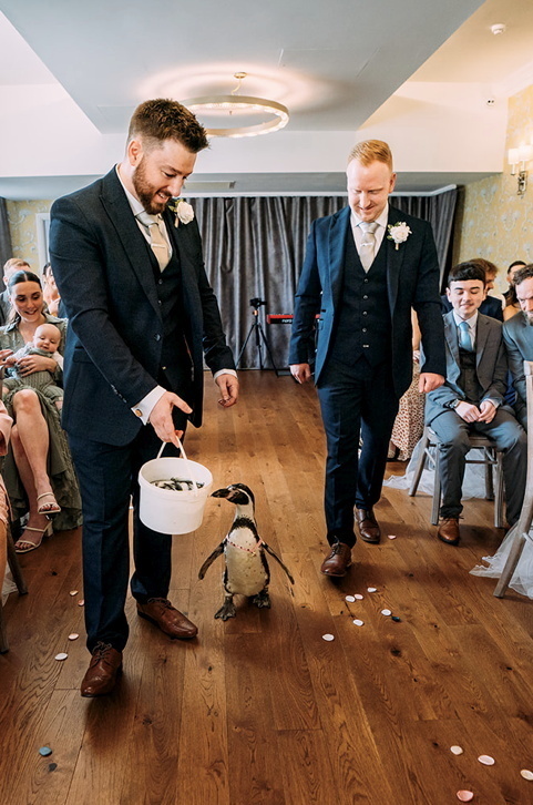 The penguin ring bearers at the wedding of Kerrilea Keilty and Joe Keilty who tied the knot surrounded by friends and family at The Old Palace in Chester.