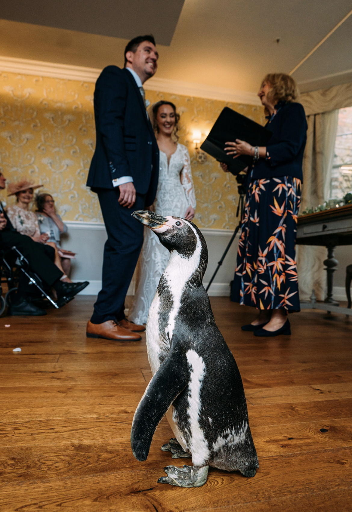 The penguin ring bearers at the wedding of Kerrilea Keilty and Joe Keilty who tied the knot surrounded by friends and family at The Old Palace in Chester.