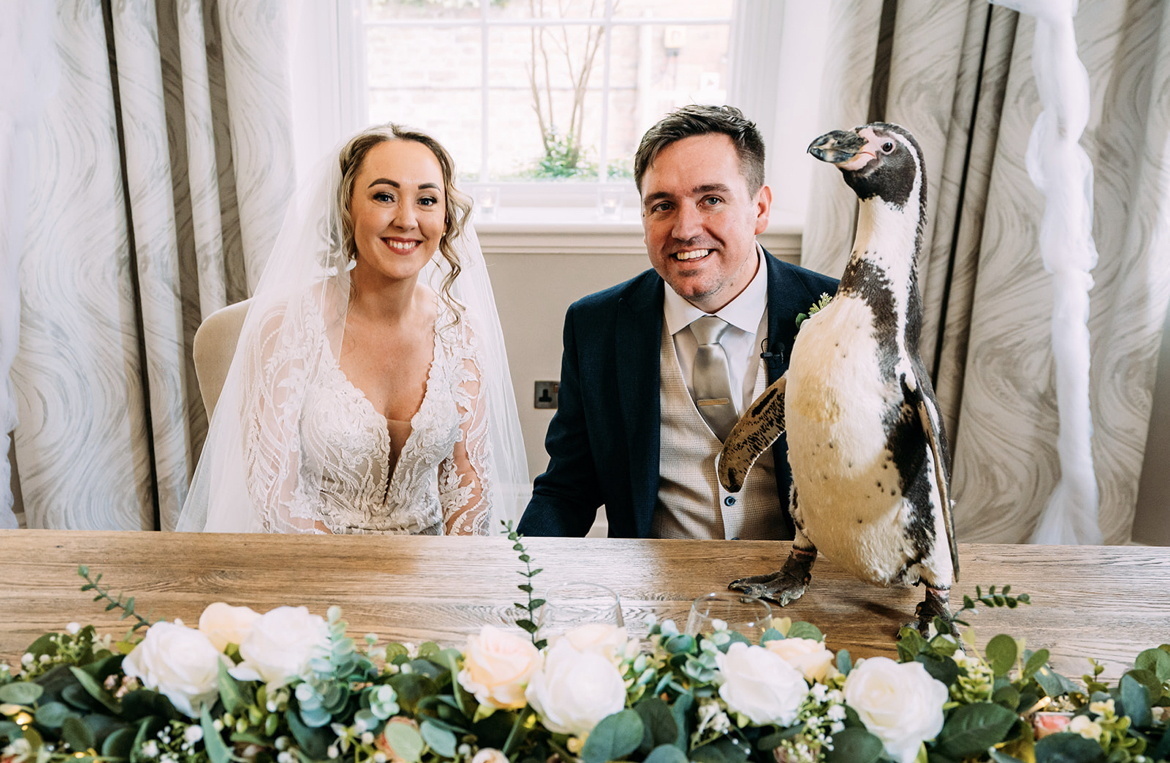 The penguin ring bearers at the wedding of Kerrilea Keilty and Joe Keilty who tied the knot surrounded by friends and family at The Old Palace in Chester.