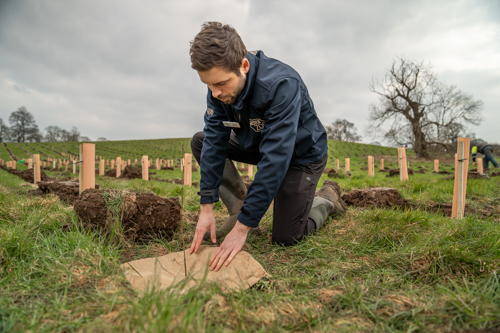 Chester Zoo plants 19,000 new trees in bid to restore Cheshires lost woodlands.