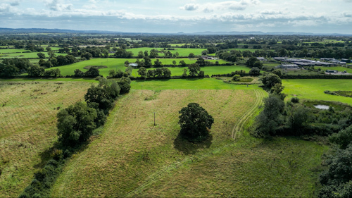 Chester Zoo plants 19,000 new trees in bid to restore Cheshires lost woodlands.